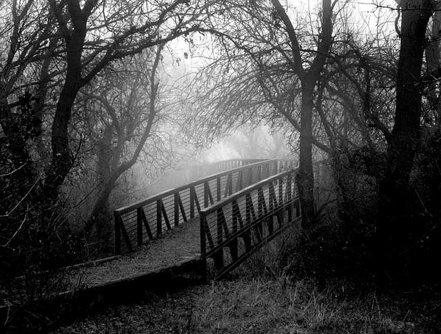 Black and white nature pictures |Nature Wallpapers
