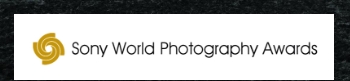 Professional photo competition 2019 Professional photo competition 2019