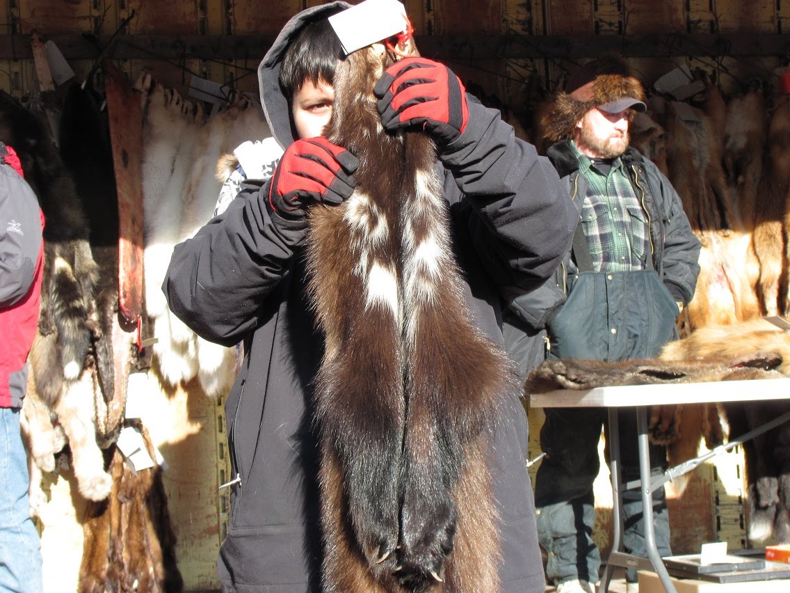 My Year in Alaska Fur Auction