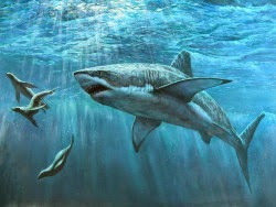 for apple download Hunting Shark 2023: Hungry Sea Monster for apple download Hunting Shark 2023: Hungry Sea Monster