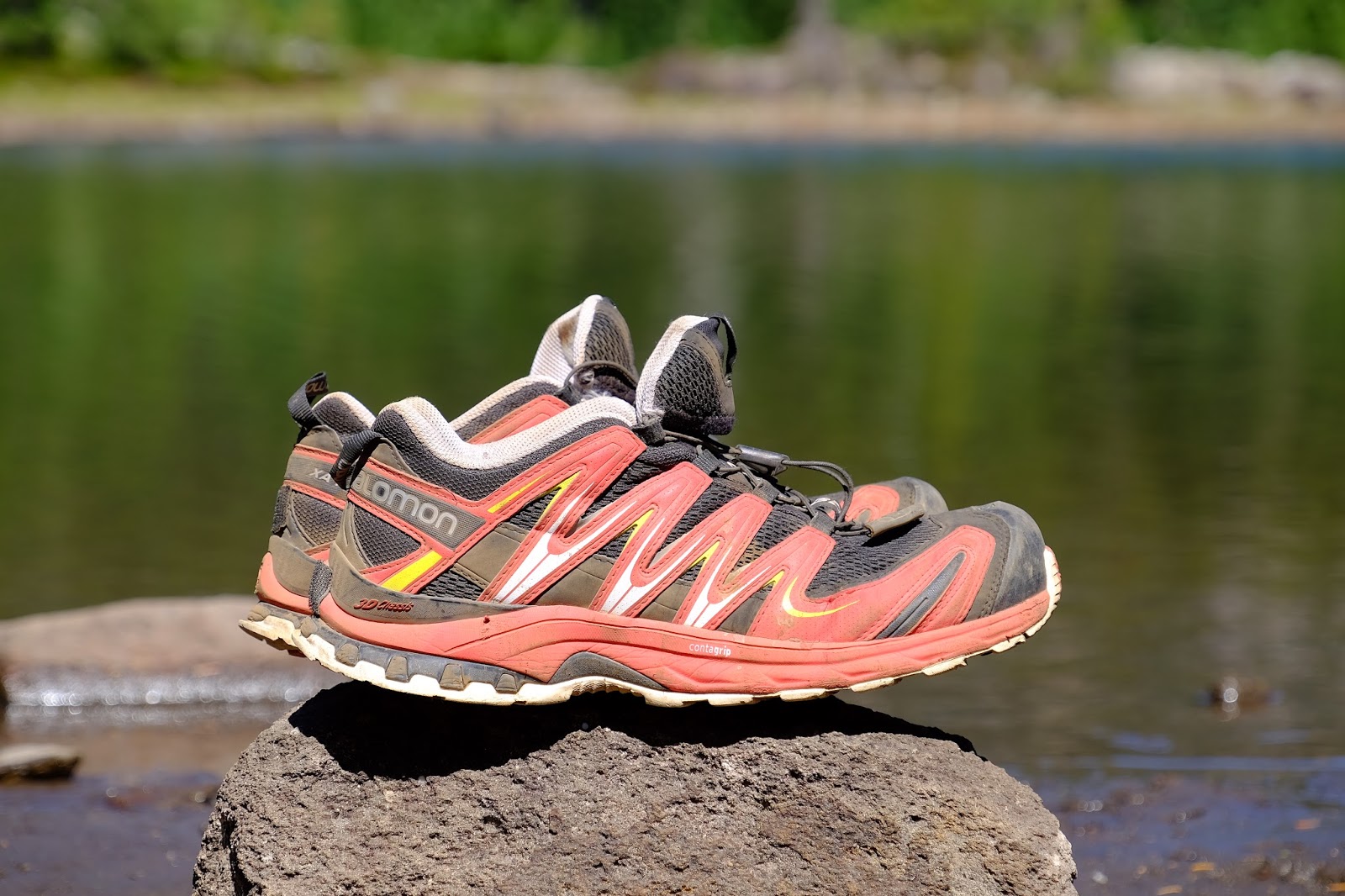 salomon xa fuster gtx