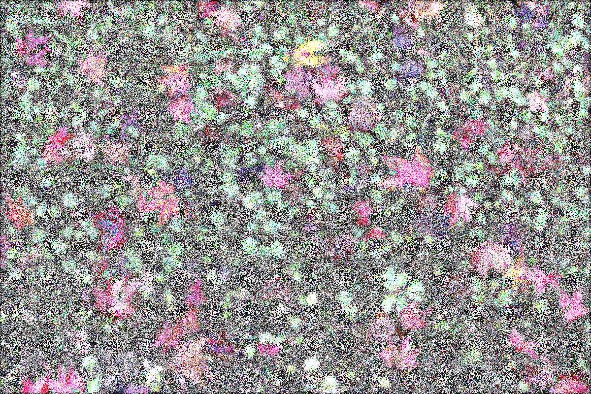 화순 영구산 운주사 화순 영구산 운주사