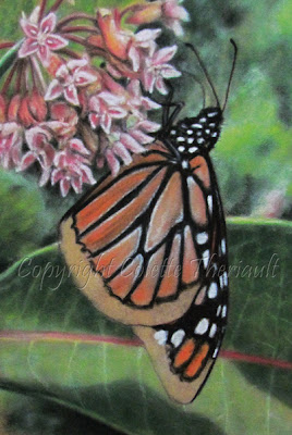 Progress of monarch butterfly painting in progress by Colette Theriault