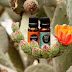 BEST 50 WAYS TO USE ESSENTIAL OILS