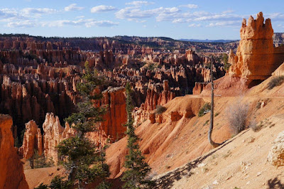 Bryce Canyon National Park, Utah.