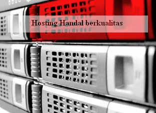 cara web hosting