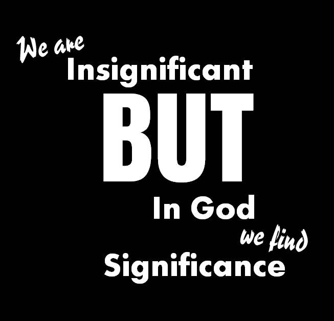 Pulling Weeds out of Potholes: We Are Insignificant