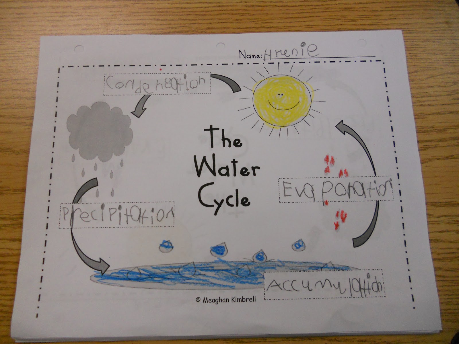 Mrs. Kimbrell's Kindergarten: The Water Cycle