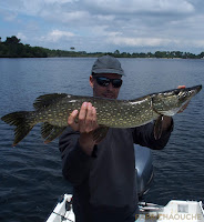 Brochet du lac de Parentis - 79cm