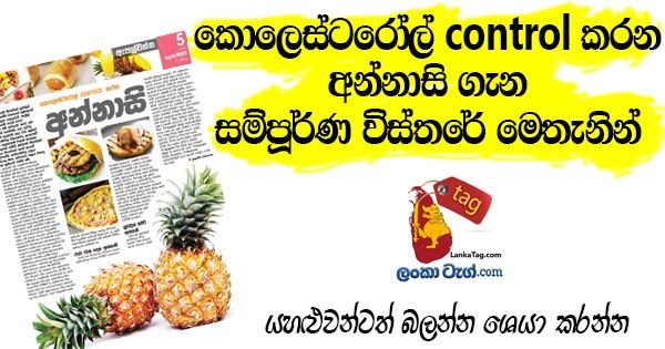 Vegetarian Food Recipes Sinhala Vegetarian Food Recipes Sinhala