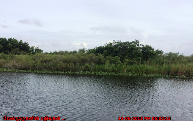 Everglades South Florida