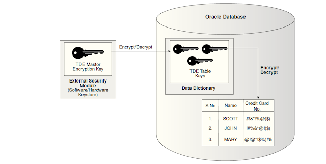 Oracle Transparent Data Encryption (TDE)