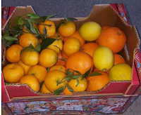 Gioca e vinci gratis un pacco di agrumi misti con sorpresa! Logo Gioca e vinci gratis un pacco di agrumi misti con sorpresa!