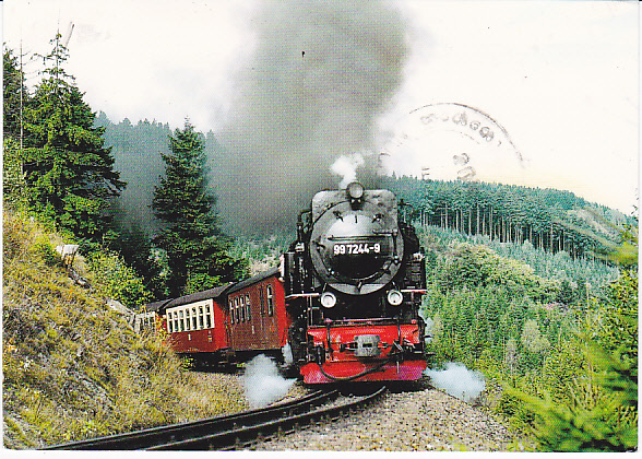 Kahle Baume Blattlose Kahle Kunstbaume Grosse Dekobaume