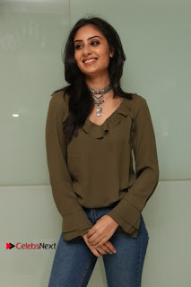 Actress Bhanu Sri Mehra Latest Pos in Jeans at Simba Audio Launch  0007