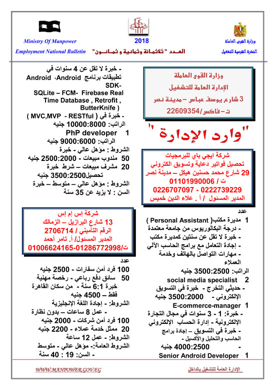 القوى العاملة" تعلن عن 5 آلاف و500 فرصة عمل 0%2B%25289%2529