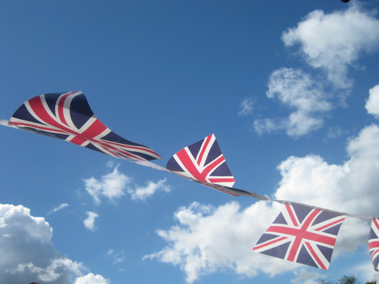 Occasional Flags