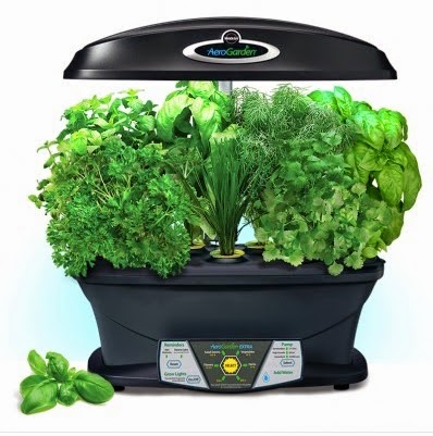 Use an Aerogarden to grow herbs inside!