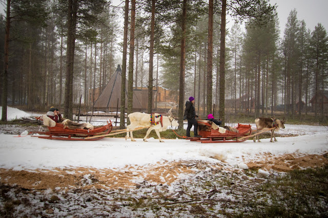 Slitta trainata dalle renne-Villaggio di Babbo Natale-Rovaniemi