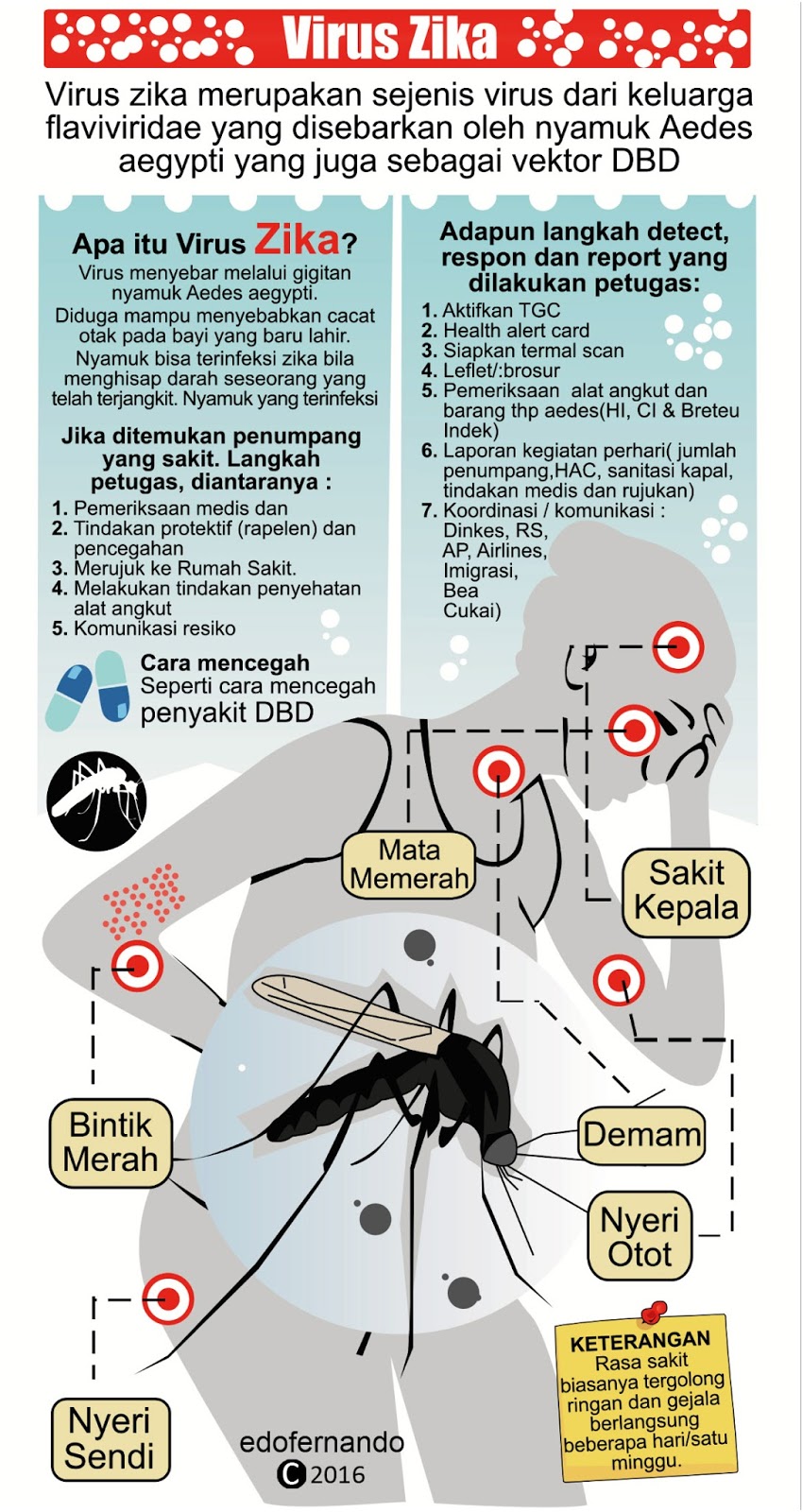 Waspada Virus Zika Khususnya Bagi Ibu Hamil Pono