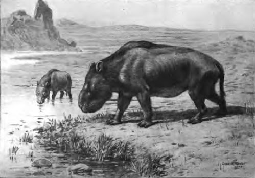 mamiferos prehistoricos de argentina Nesodon