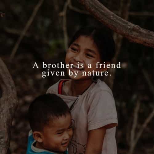 Best Brother And Sister Images With Quotes