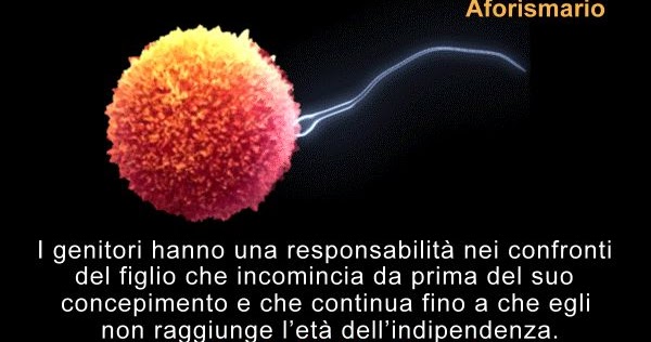 Aforismario Aforismi Frasi E Citazioni Sul Concepimento