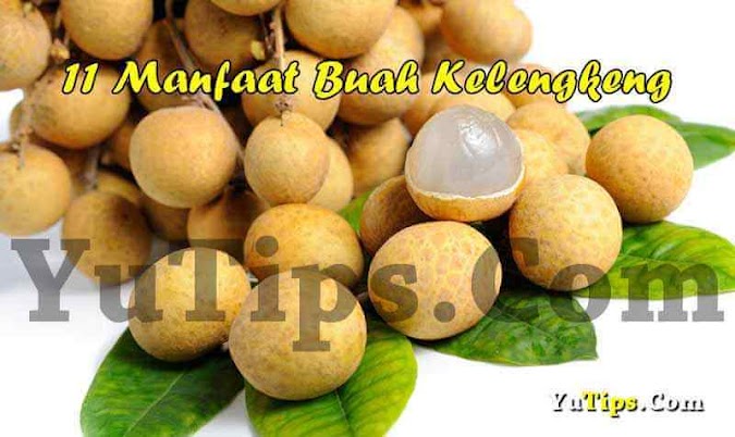 11 Manfaat Buah Kelengkeng Bagi Kesehatan