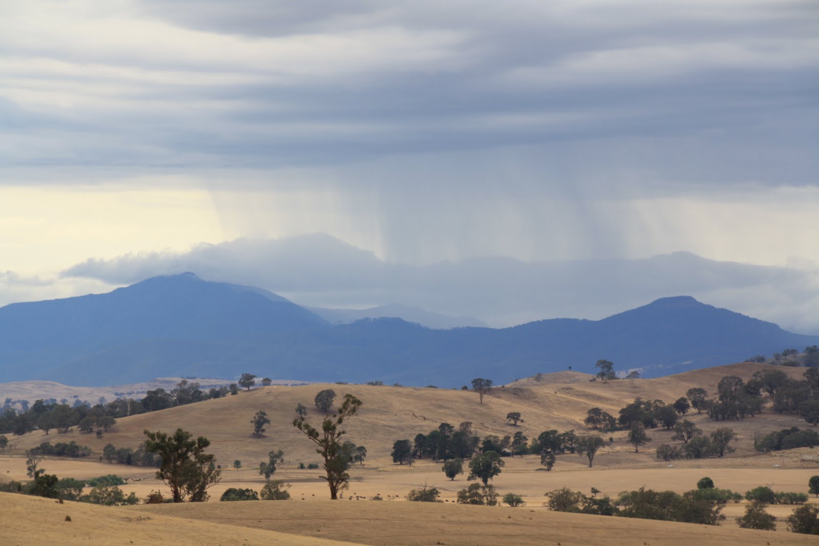 High Country, North East