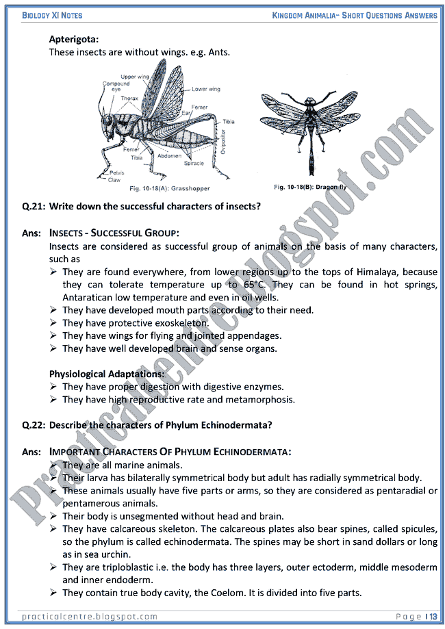 Kingdom Animalia - Short Questions Answers - Biology XI