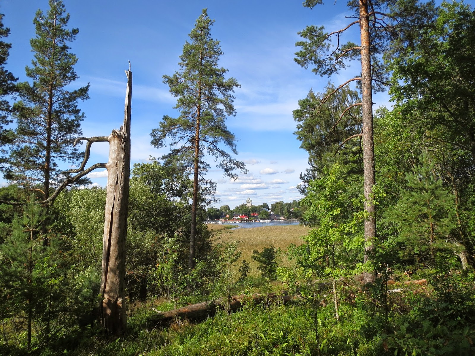 MC KUCKO Hagen