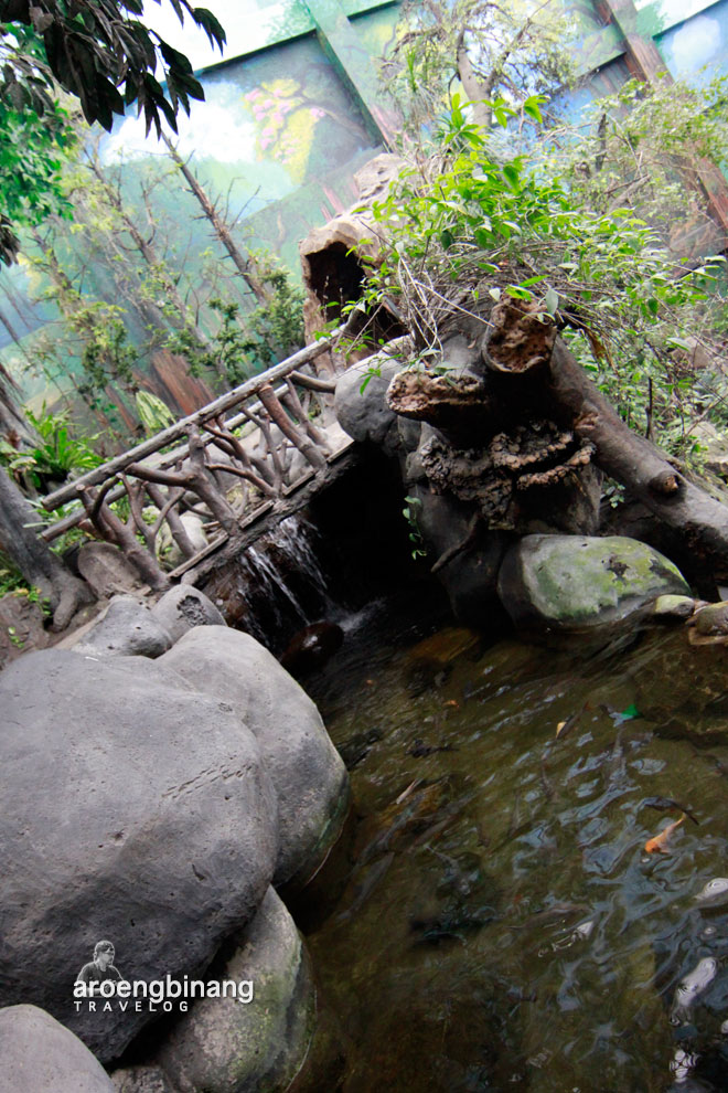 taman akuarium air tawar tmii jakarta timur