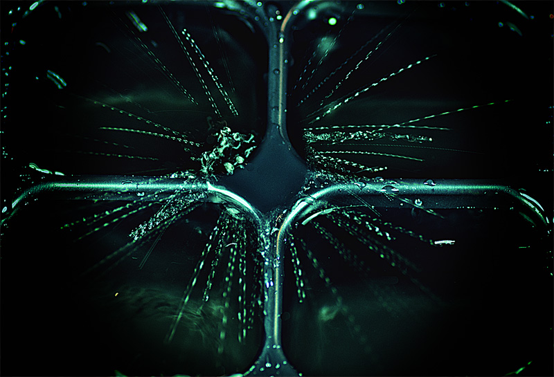 hidrofobia.jpg