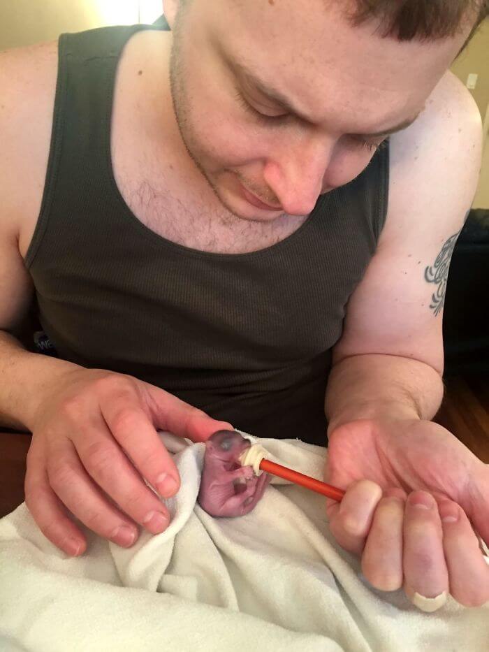 A Man Adopted A Baby Squirrel He Found On His Bed And It's The Most Adorable Story We Read Today