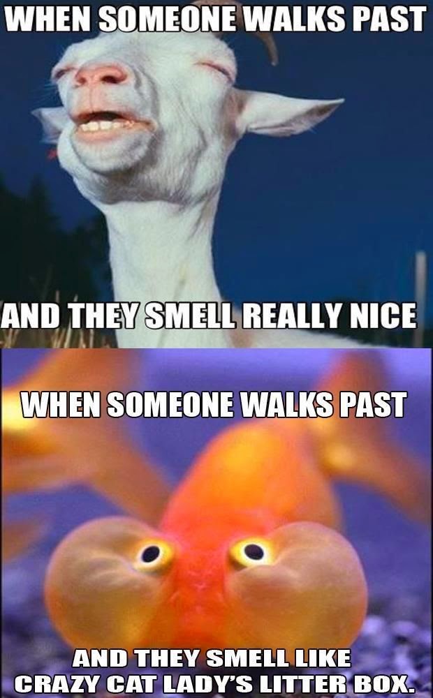 When someone walks past and they smell really nice. when someone walks