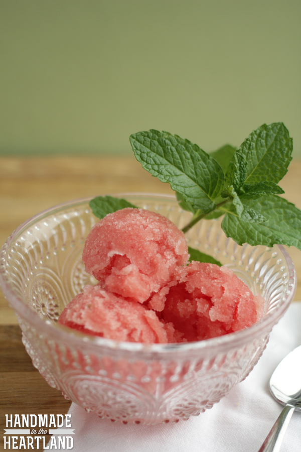 Fresh Watermelon & Mint Sorbet Recipe