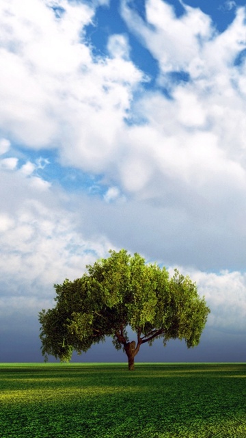 desktop nature wallpaper