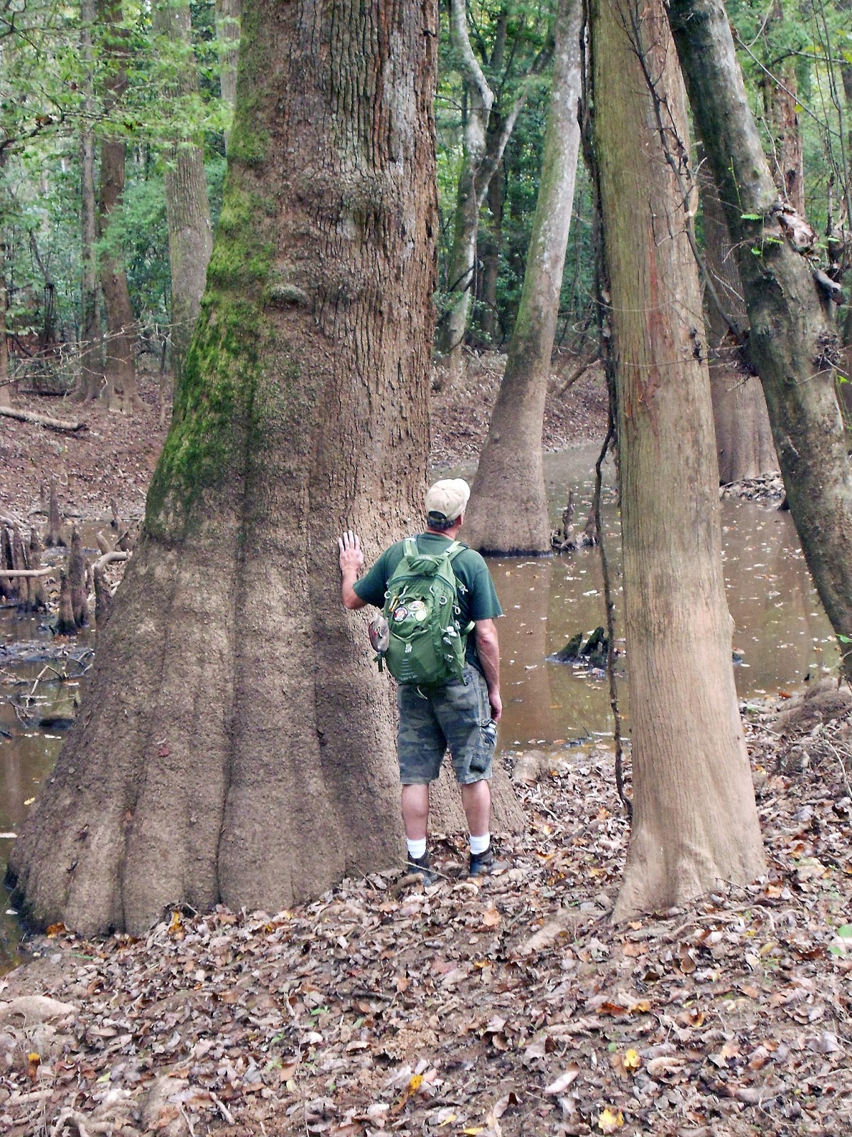 Quabbin South Carolina & Chiggers
