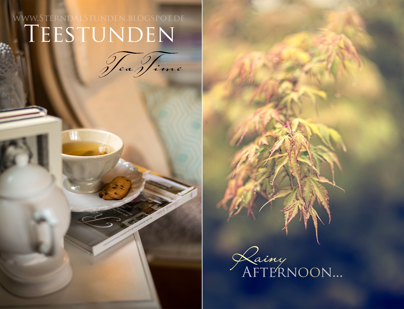 Malvorlagen Blumen Blüten Top Kostenlos Färbung Seite