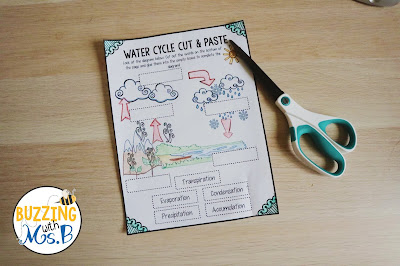 Teach the water cycle in a fun, hands-on way with these activities to help you figure out what students already know! Download a free cut-and-paste worksheet to use as a pre-assessment, a quiz, or an assignment, and have students explain what they know with a fun water cycle foldable! #watercycle