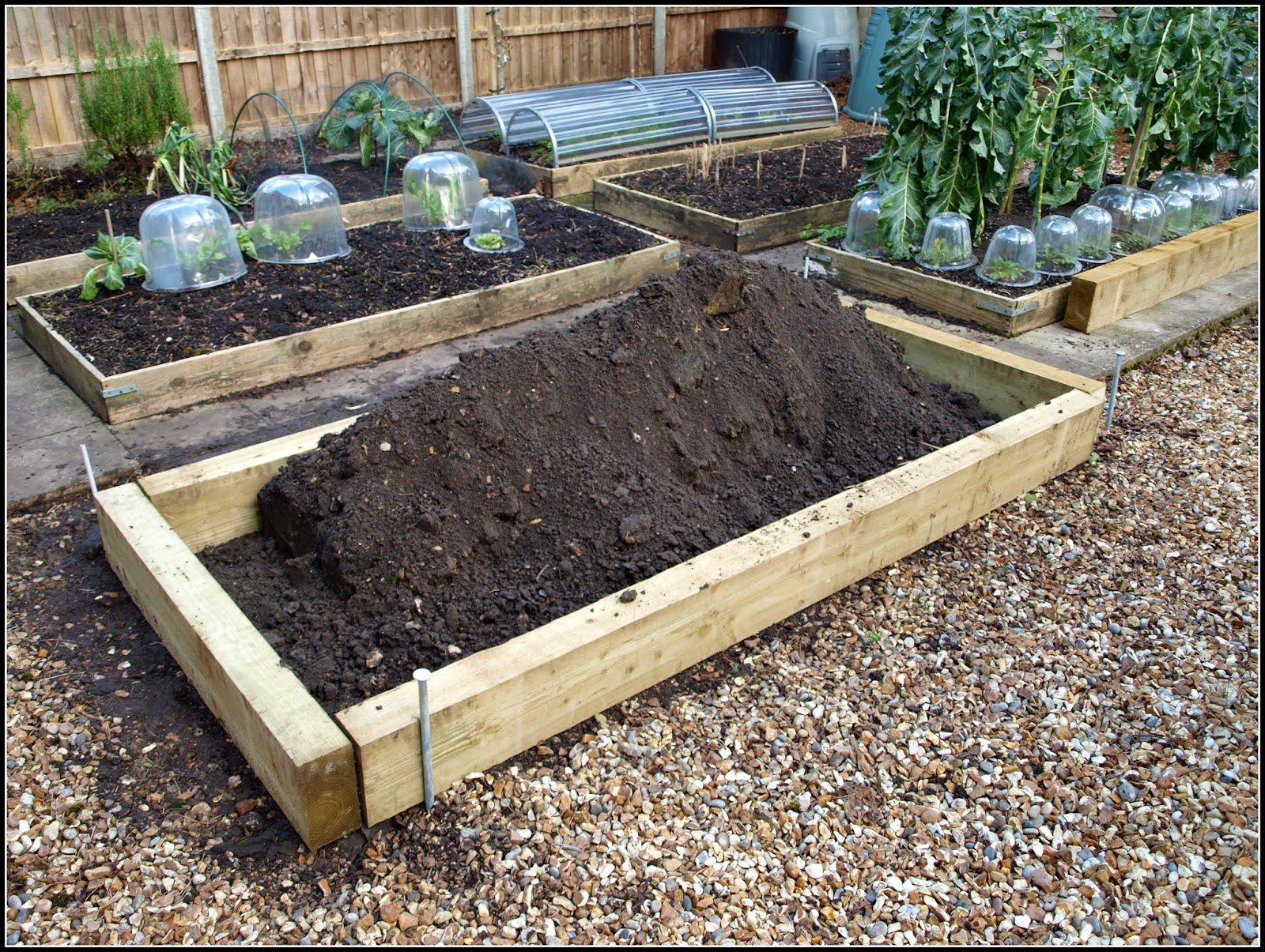 Mark's Veg Plot Raised Bed renewal Work in Progress