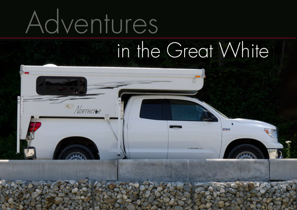 Travels in the Great White