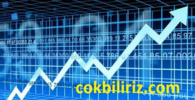 Borsaya Nasıl Girilir?
