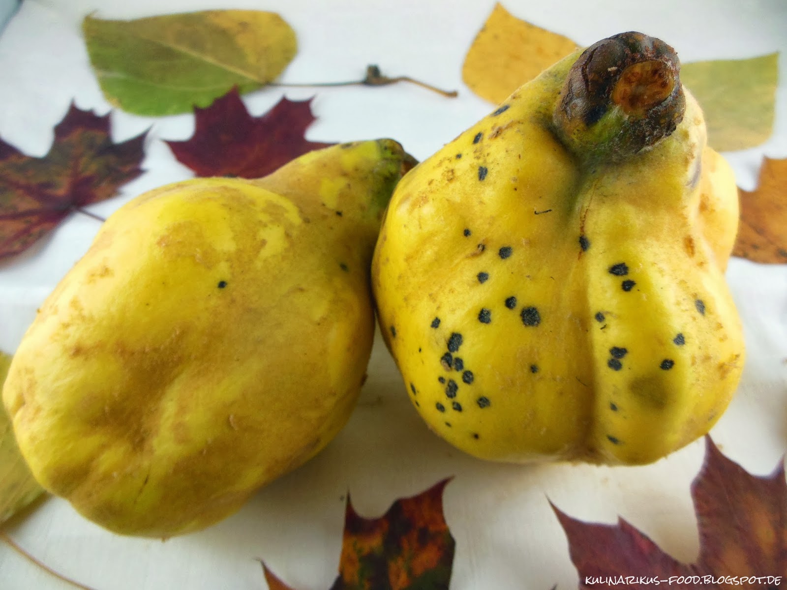 Kulinarikus: Golden wie der Herbst: Weiche, duftende Quitten mit