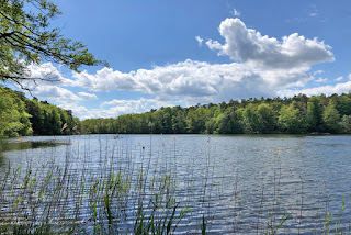 Schmalsee in Mölln