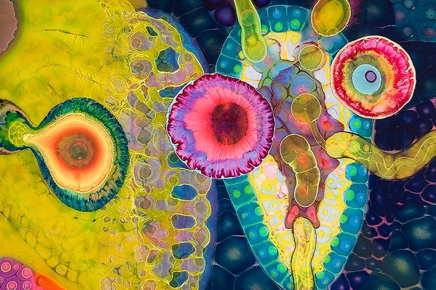 Art of Psychedelic Paint and Poured Resin by Bruce Riley1