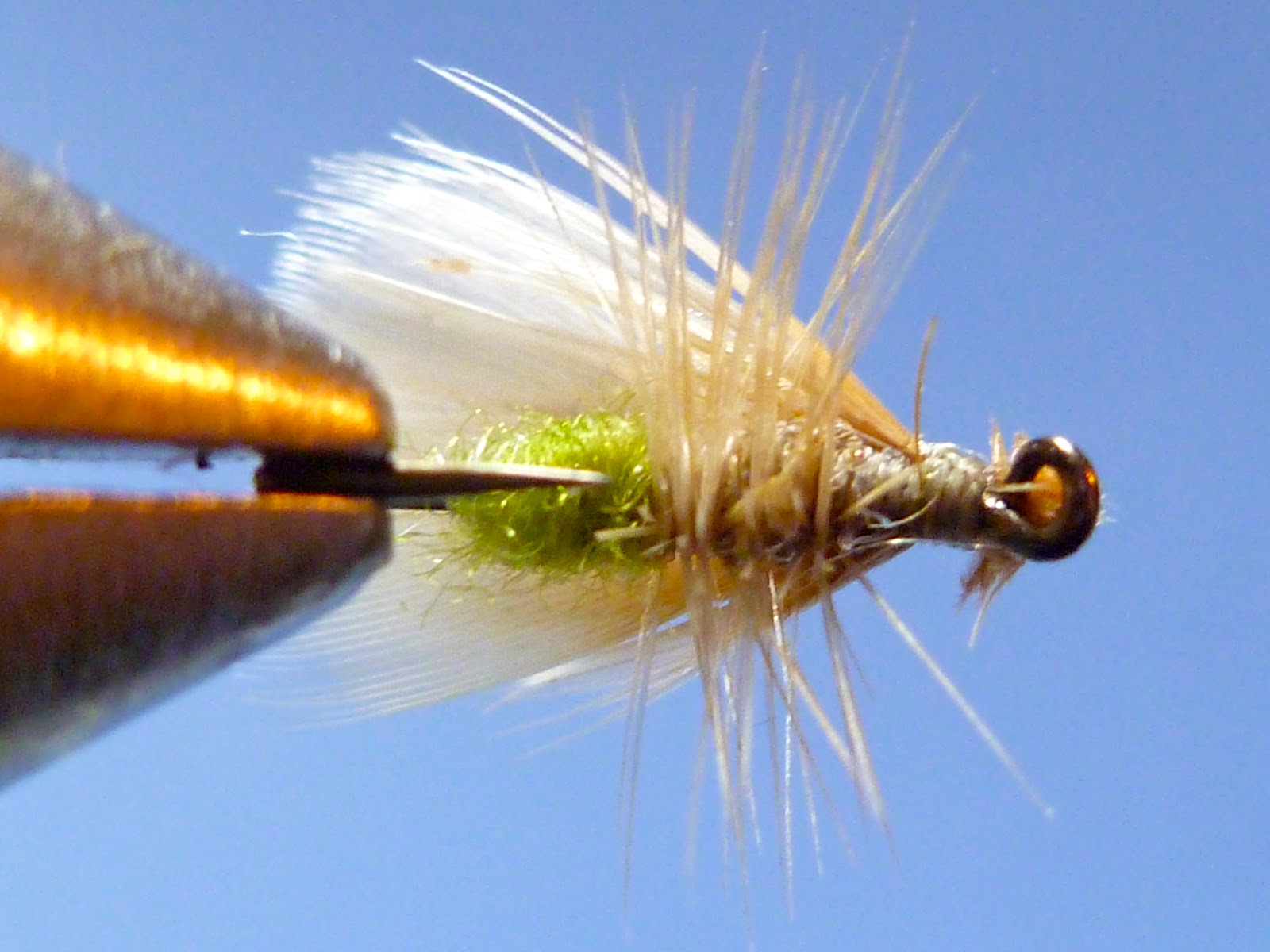 Korn's Spentwing Apple Caddis