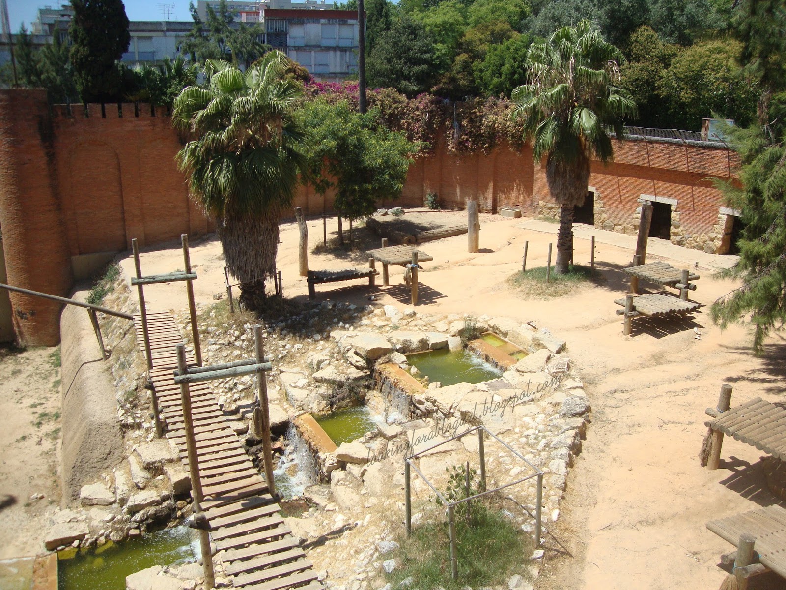 Jardim Zoológico de Lisboa parte III Insight