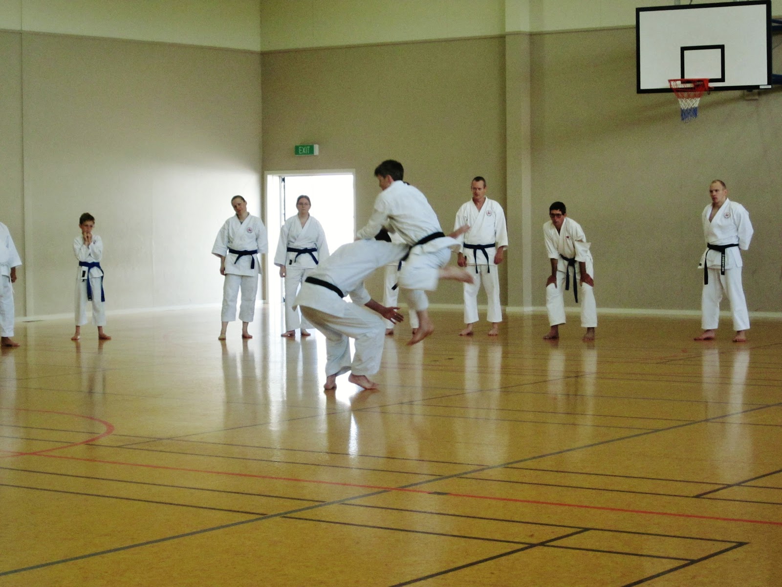 André Bertel's KarateDo Seminar Report Palmerston North 2012