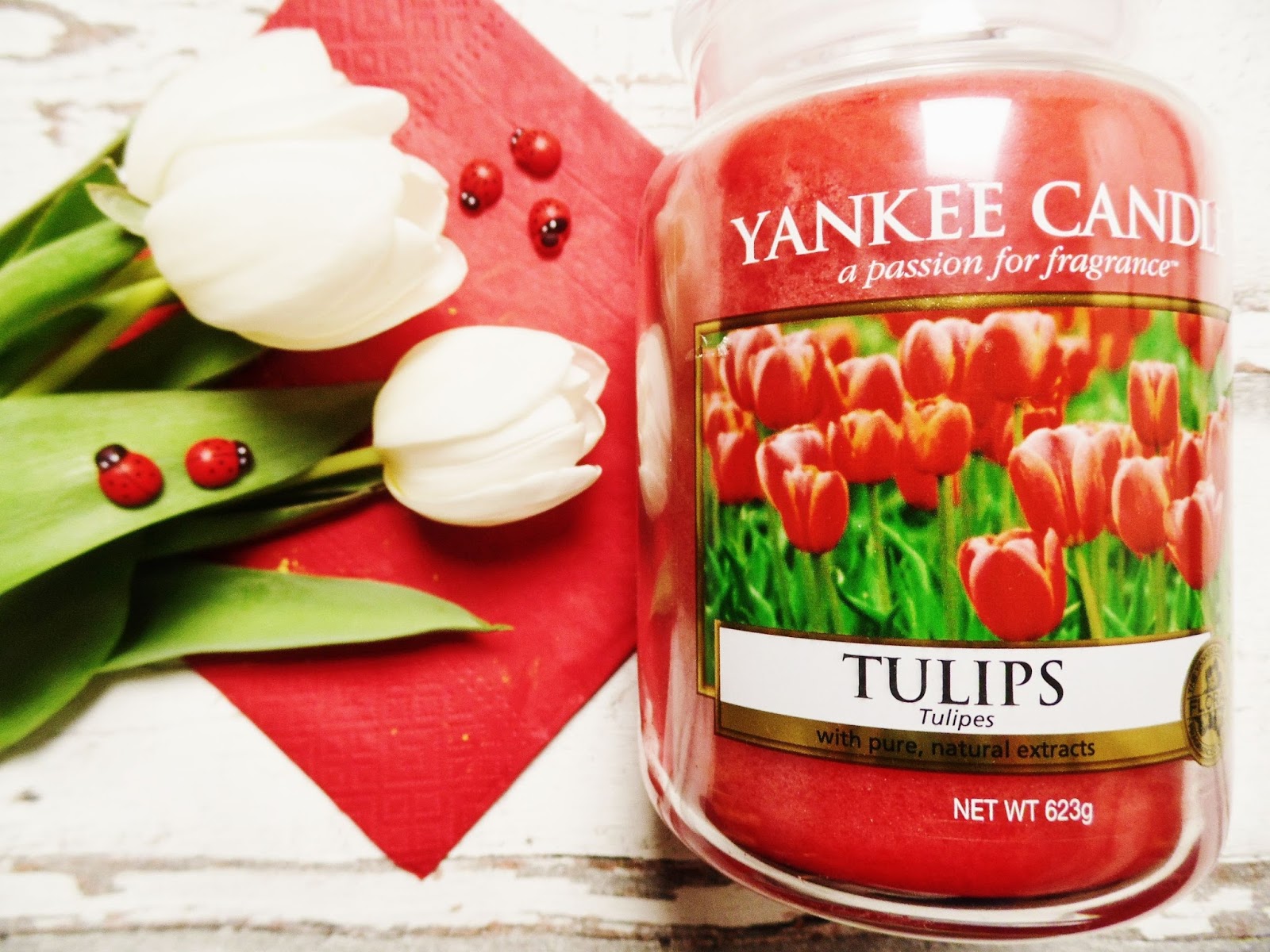Wiosna w czerwonych barwach recenzja Tulips od Yankee Candle Blog